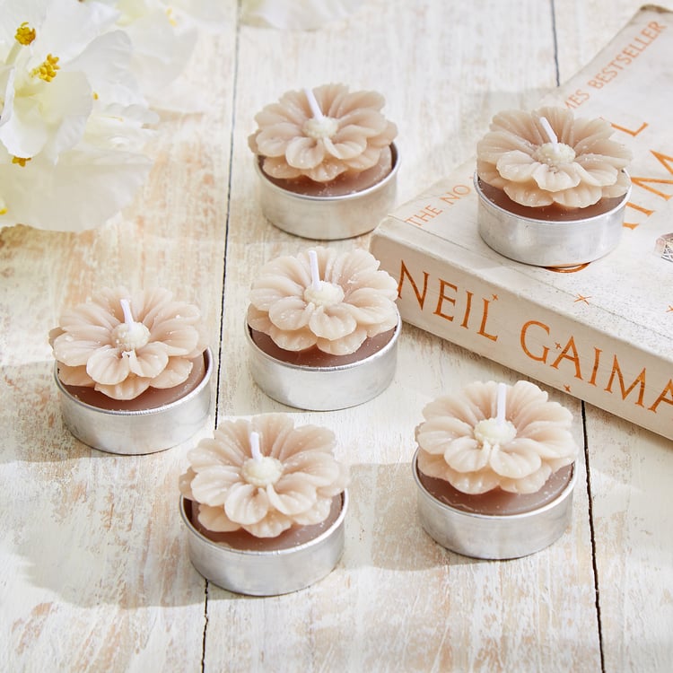 Vicente Ivy Set of 6 Floral Scented T-Light Candles