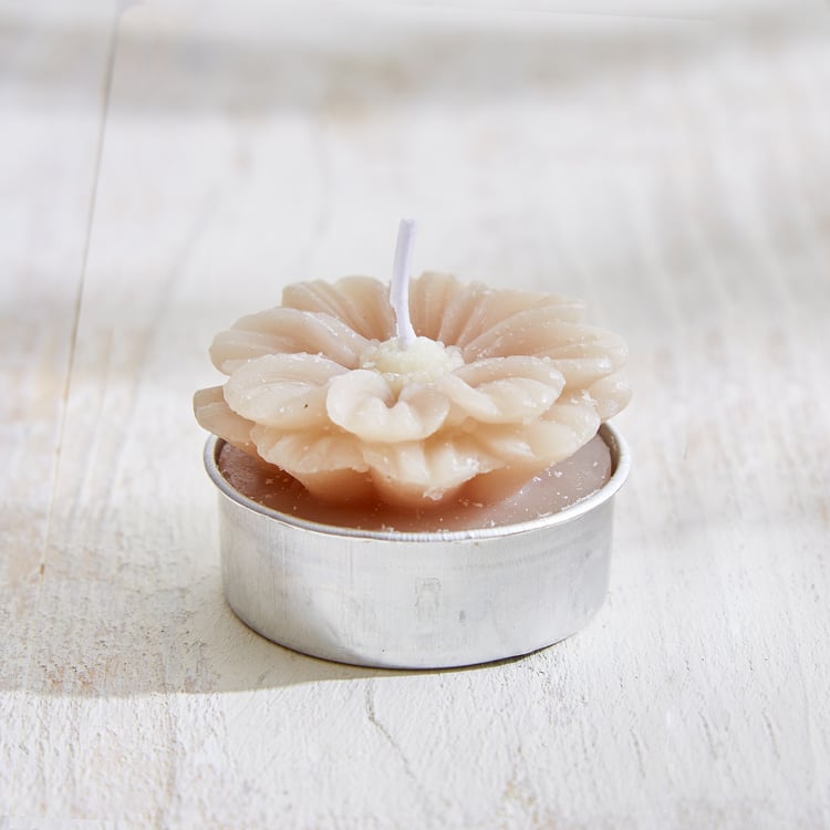 Vicente Ivy Set of 6 Floral Scented T-Light Candles