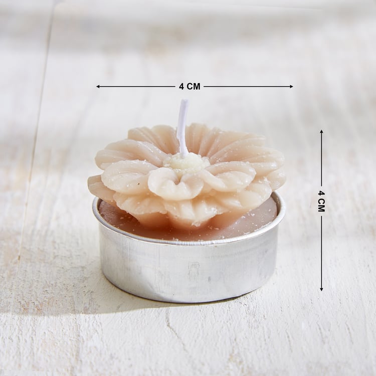 Vicente Ivy Set of 6 Floral Scented T-Light Candles