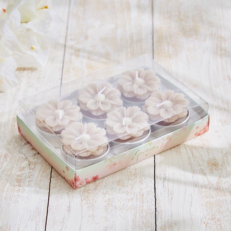 Vicente Ivy Set of 6 Floral Scented T-Light Candles