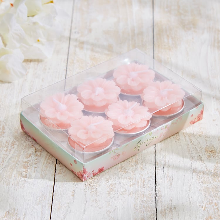 Vicente Ivy Set of 6 Floral Scented T-Light Candles