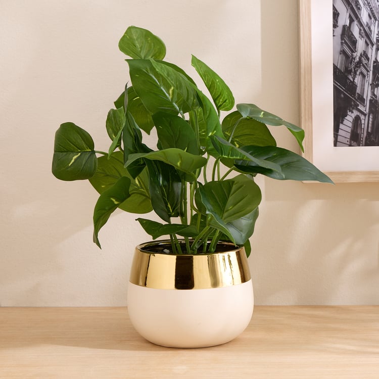 Gloria Elara Artificial Money Plant in Ceramic Pot