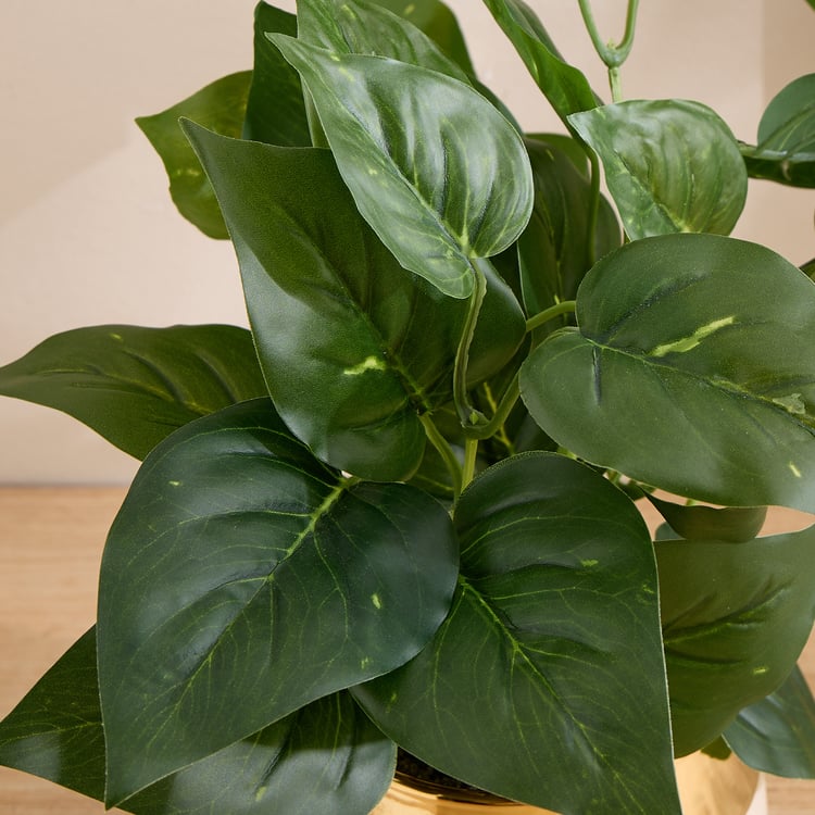 Gloria Elara Artificial Money Plant in Ceramic Pot