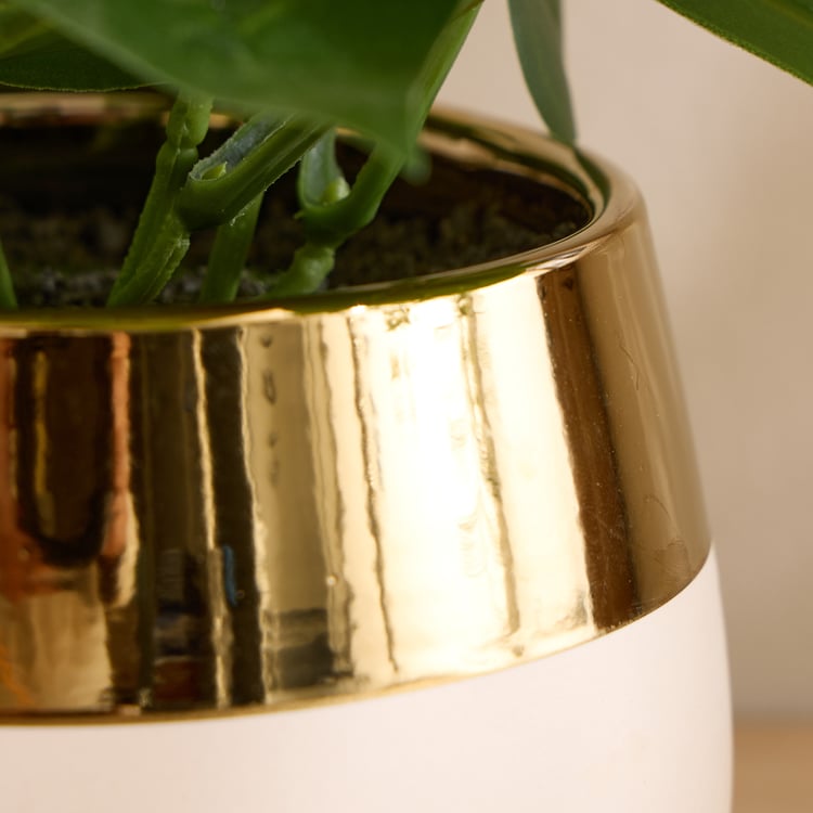 Gloria Elara Artificial Money Plant in Ceramic Pot