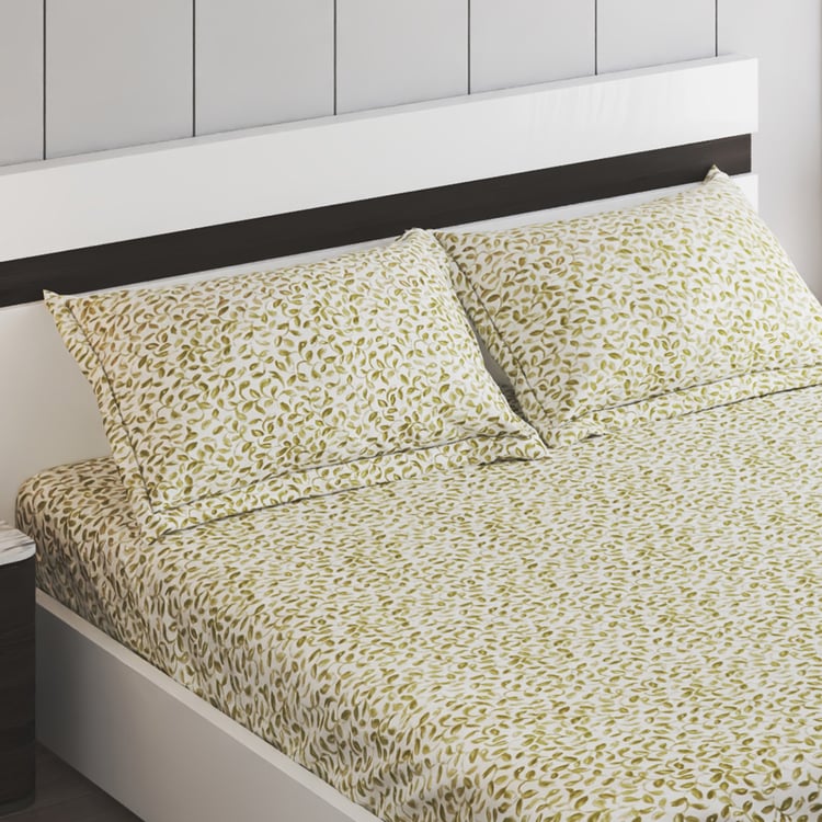 Ezra Cotton 144TC Printed 3Pcs Queen Bedsheet Set