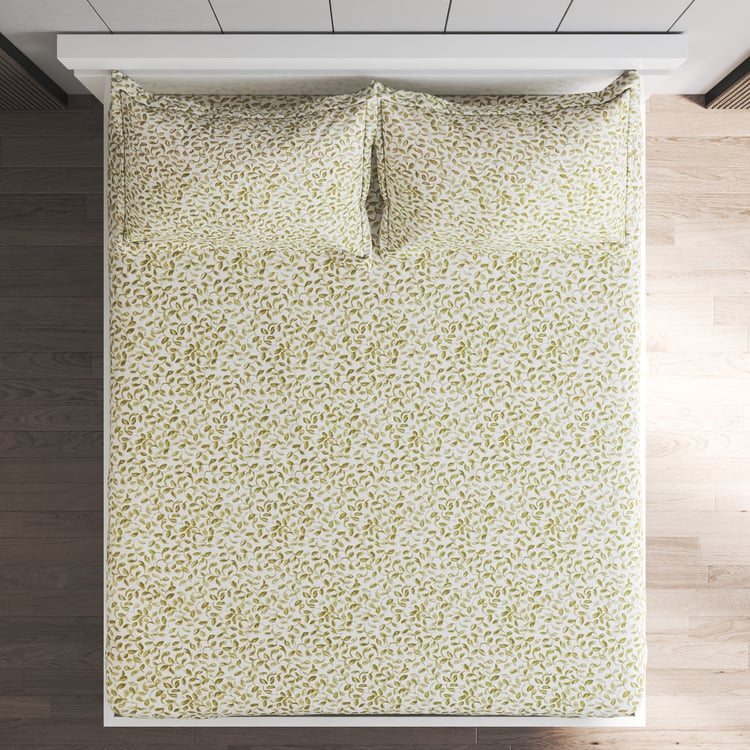 Ezra Cotton 144TC Printed 3Pcs Queen Bedsheet Set