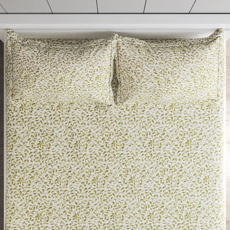 Ezra Cotton 144TC Printed 3Pcs Queen Bedsheet Set