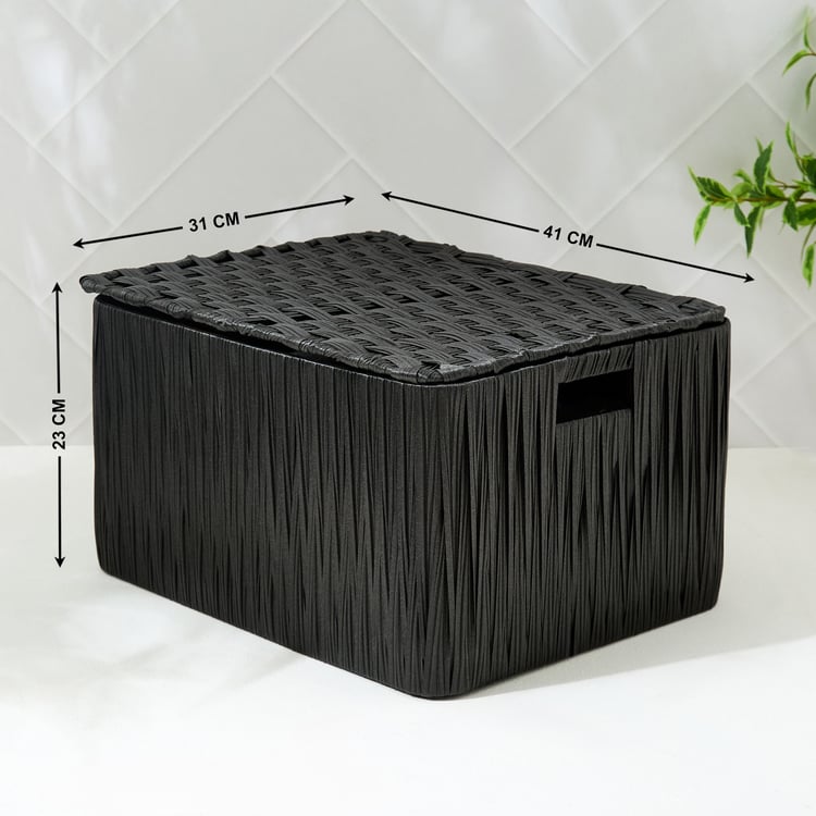 Wilton Camroon Polypropylene Storage Basket with Lid