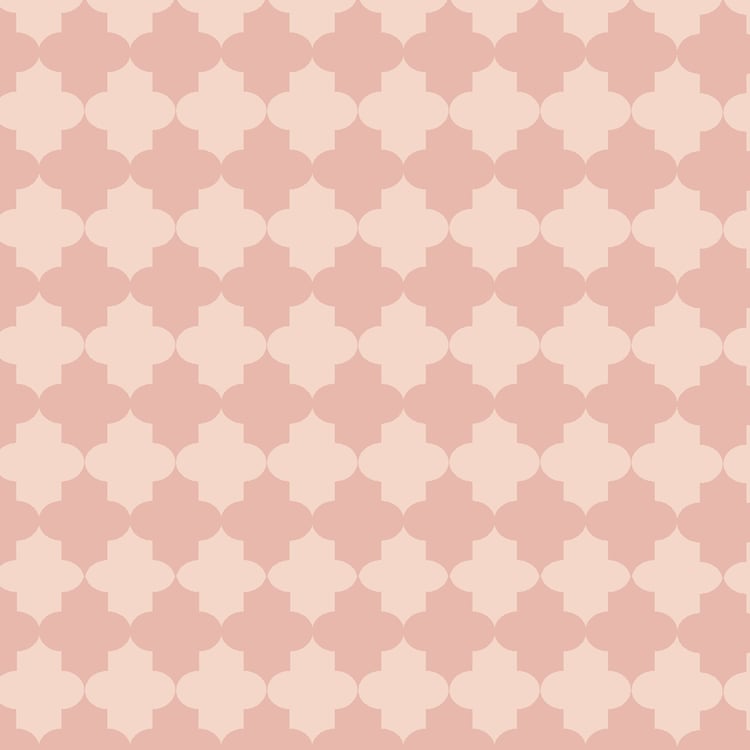 Vera Macaw Set of 5 Printed Cushion Covers - 40x40cm