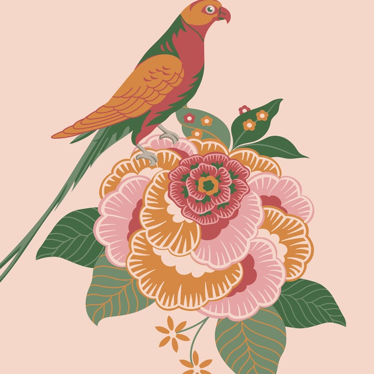 Vera Macaw Set of 5 Printed Cushion Covers - 40x40cm