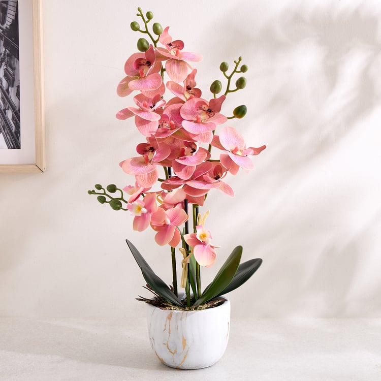 Gloria Artificial Orchids in Ceramic Pot
