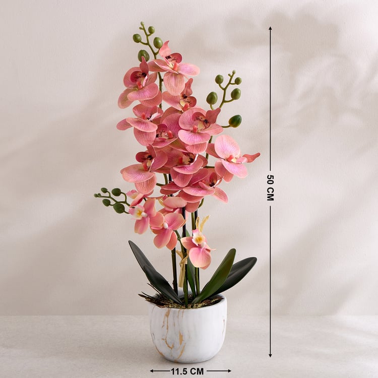 Gloria Artificial Orchids in Ceramic Pot