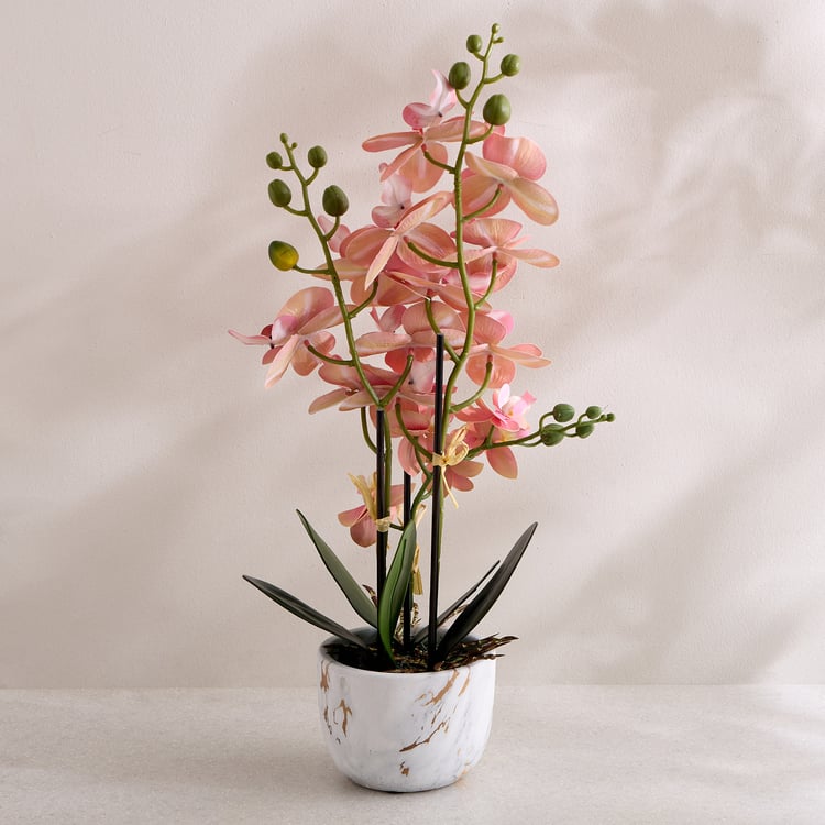 Gloria Artificial Orchids in Ceramic Pot