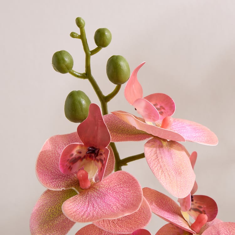 Gloria Artificial Orchids in Ceramic Pot