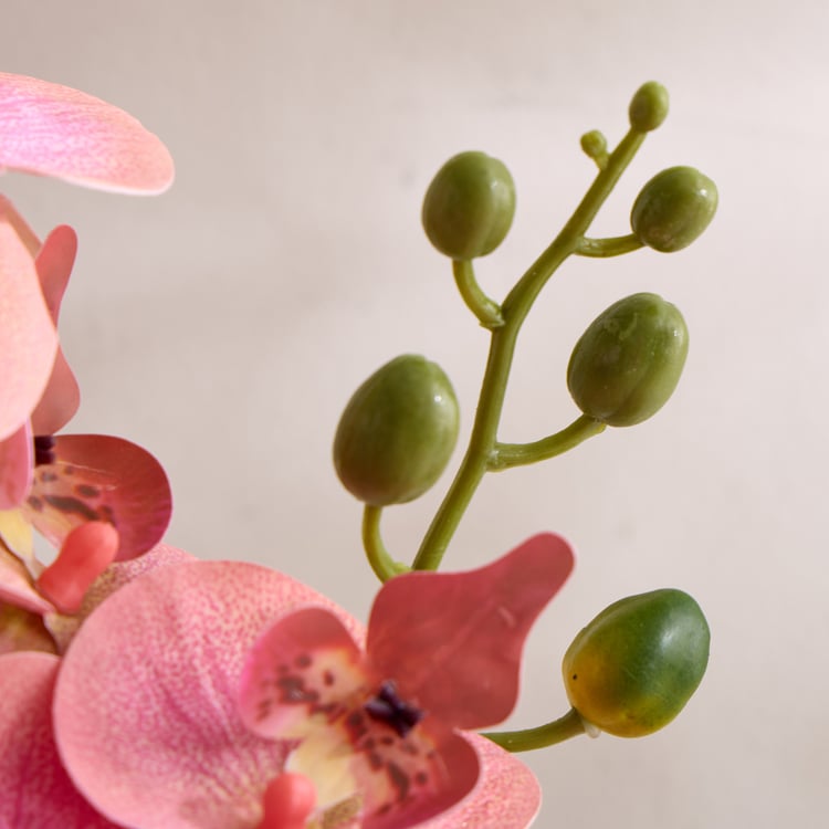 Gloria Artificial Orchids in Ceramic Pot