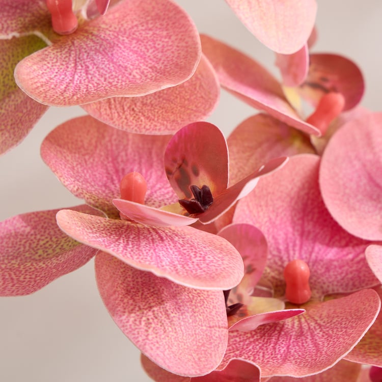 Gloria Artificial Orchids in Ceramic Pot