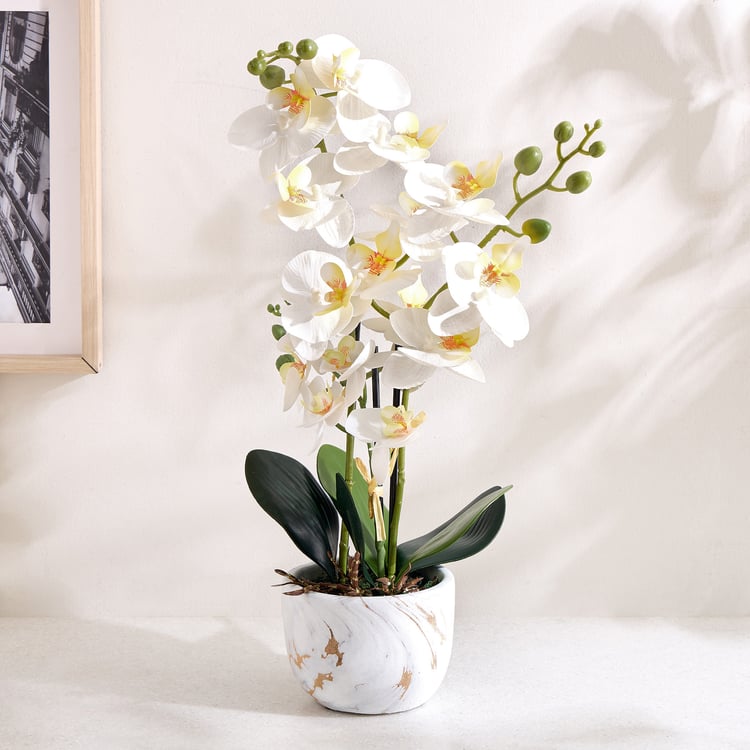 Gloria Artificial Orchids in Ceramic Pot