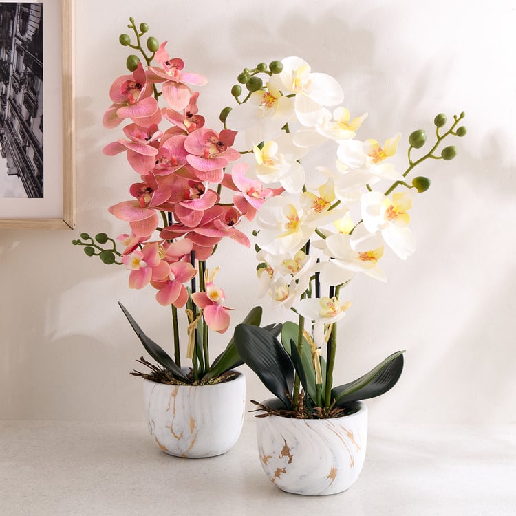 Gloria Artificial Orchids in Ceramic Pot