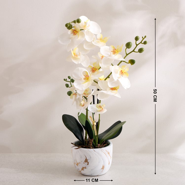 Gloria Artificial Orchids in Ceramic Pot