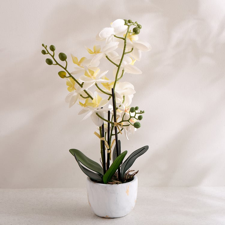 Gloria Artificial Orchids in Ceramic Pot