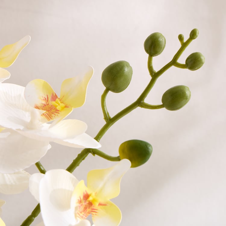 Gloria Artificial Orchids in Ceramic Pot