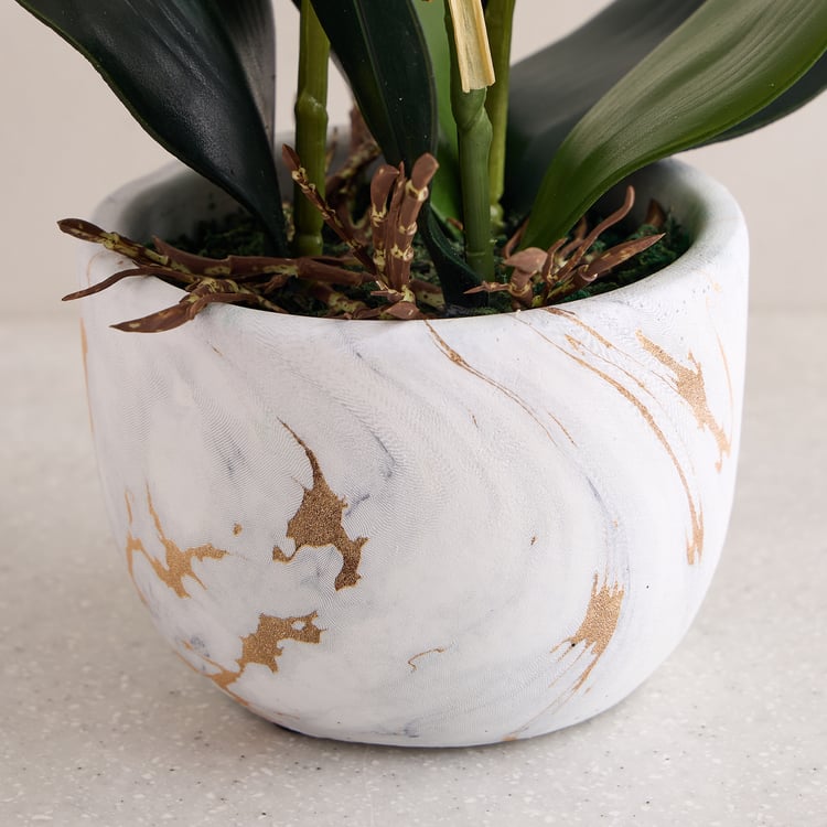 Gloria Artificial Orchids in Ceramic Pot