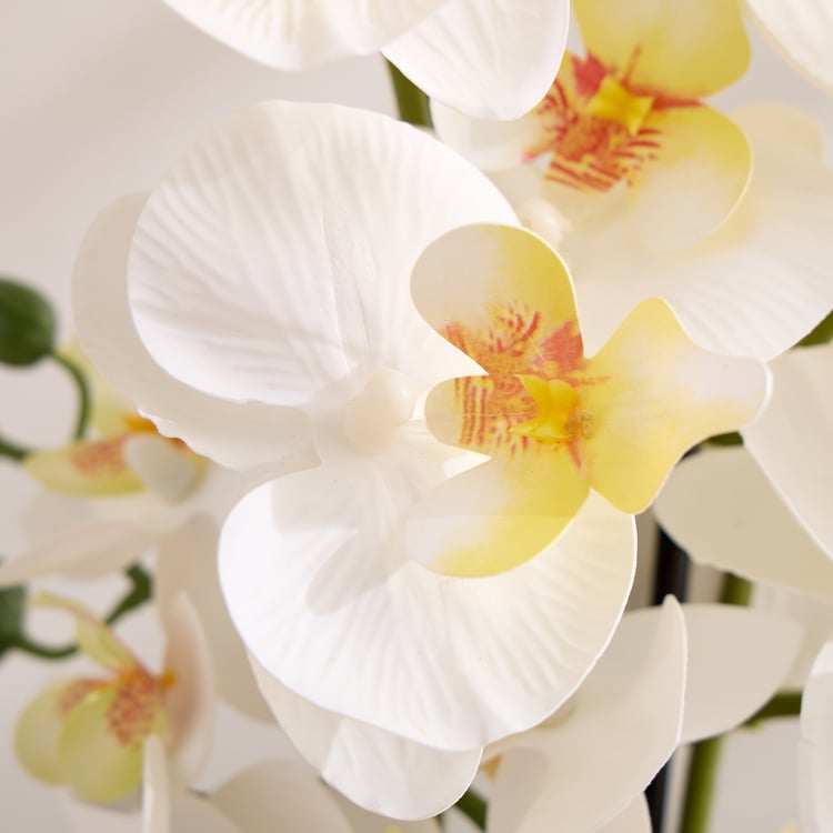 Gloria Artificial Orchids in Ceramic Pot