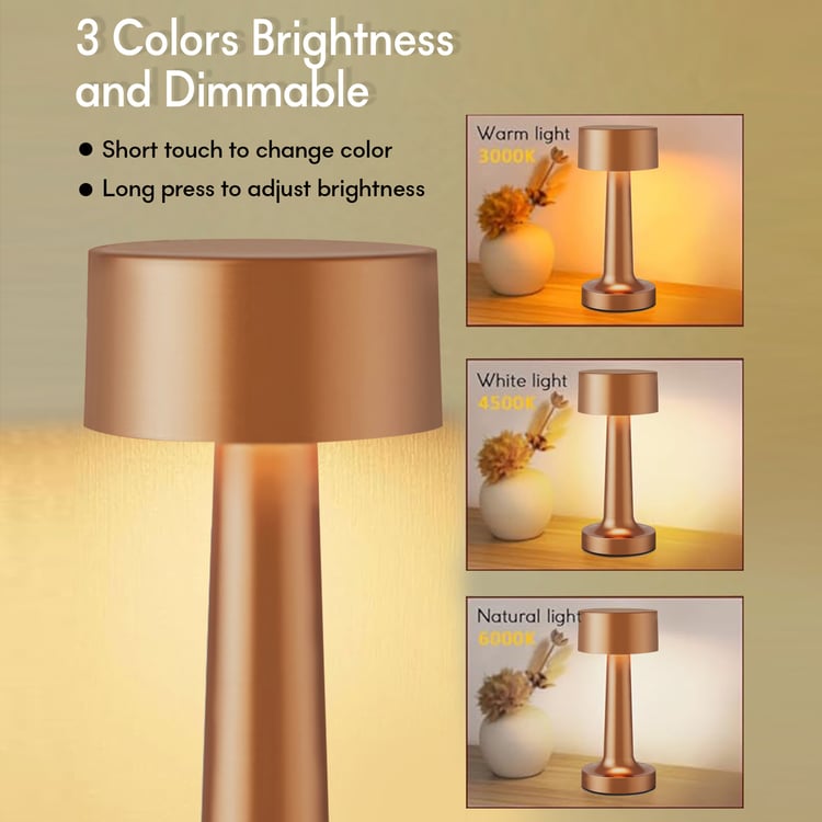 HOMESAKE Metal Touch Table Lamp