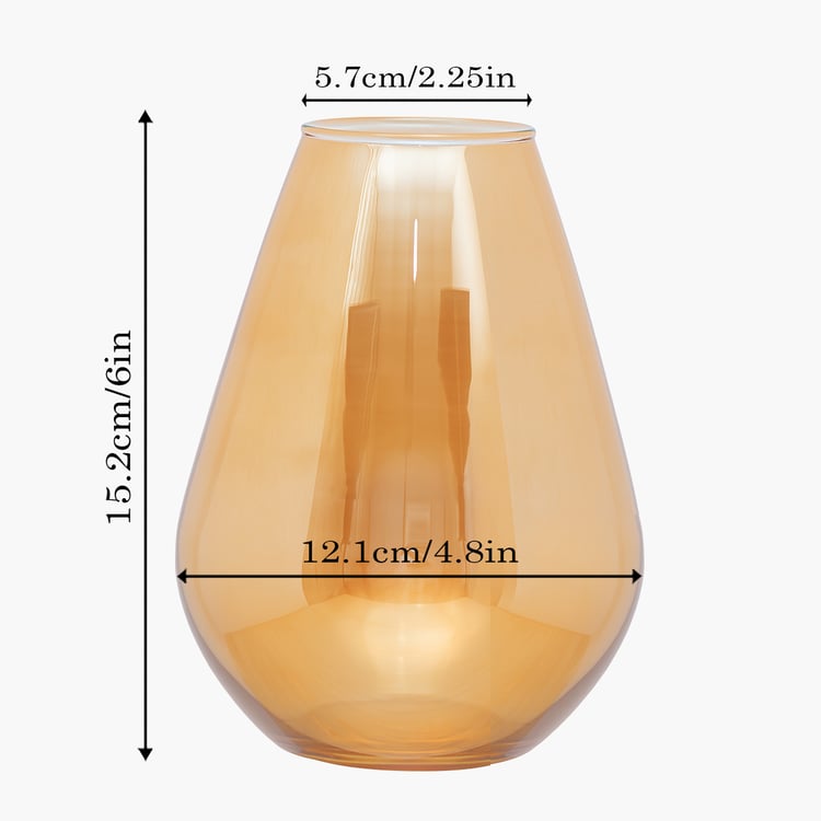 HOMESAKE Glass Vase