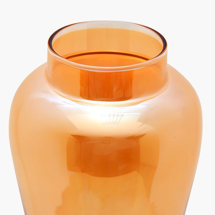 HOMESAKE Glass Vase