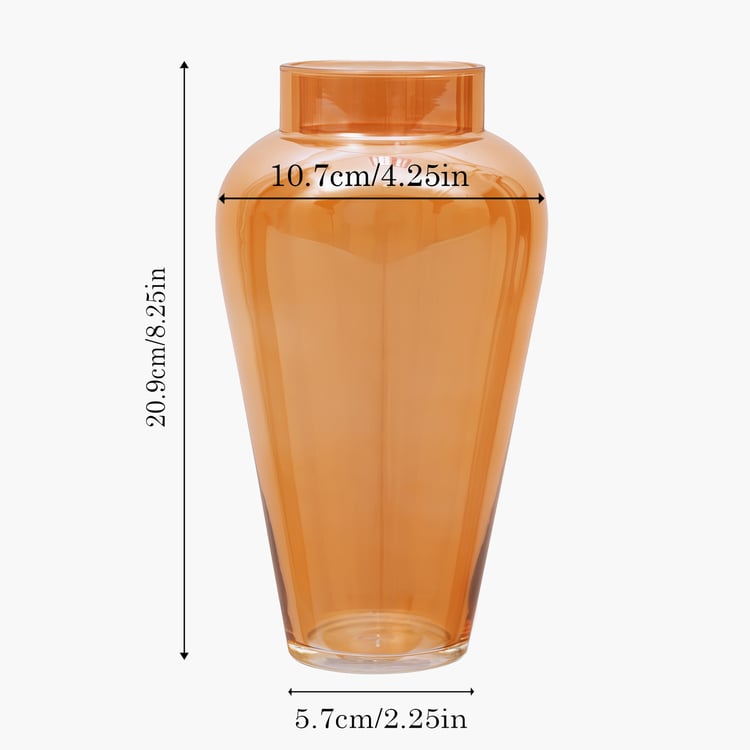 HOMESAKE Glass Vase