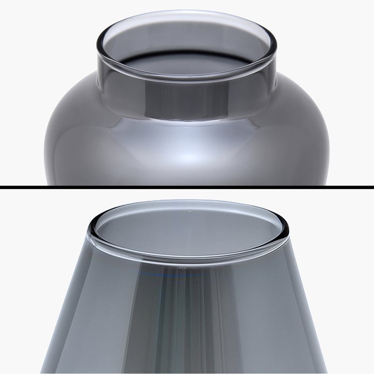 HOMESAKE Set of 2 Glass Vases