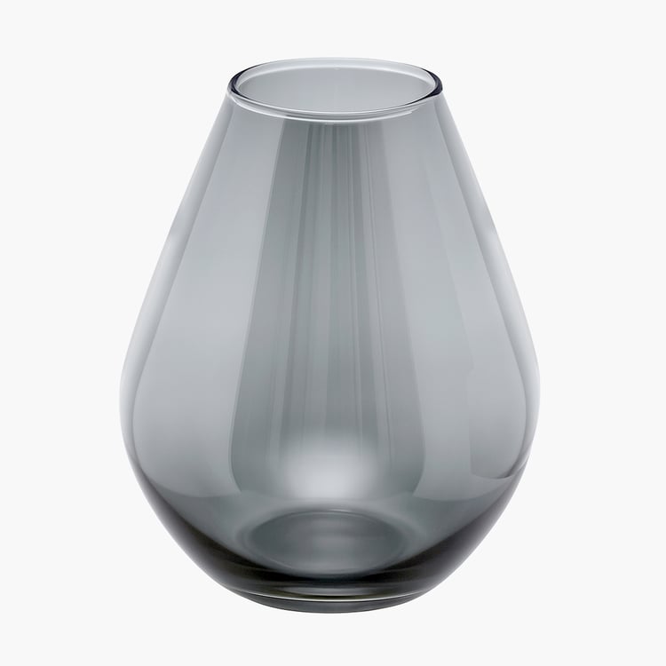 HOMESAKE Set of 2 Glass Vases
