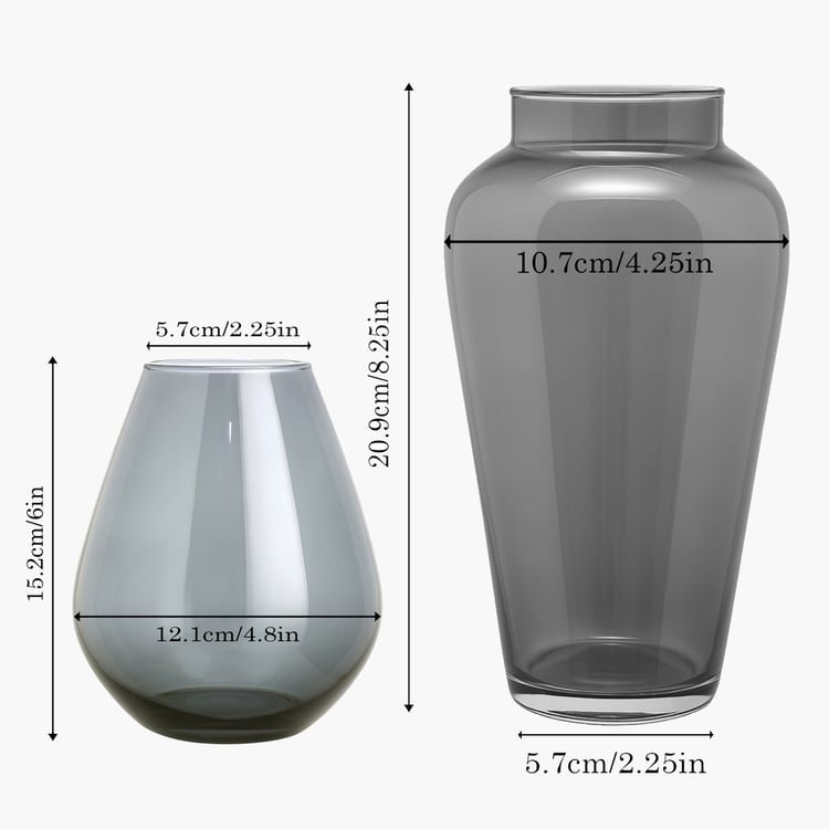 HOMESAKE Set of 2 Glass Vases