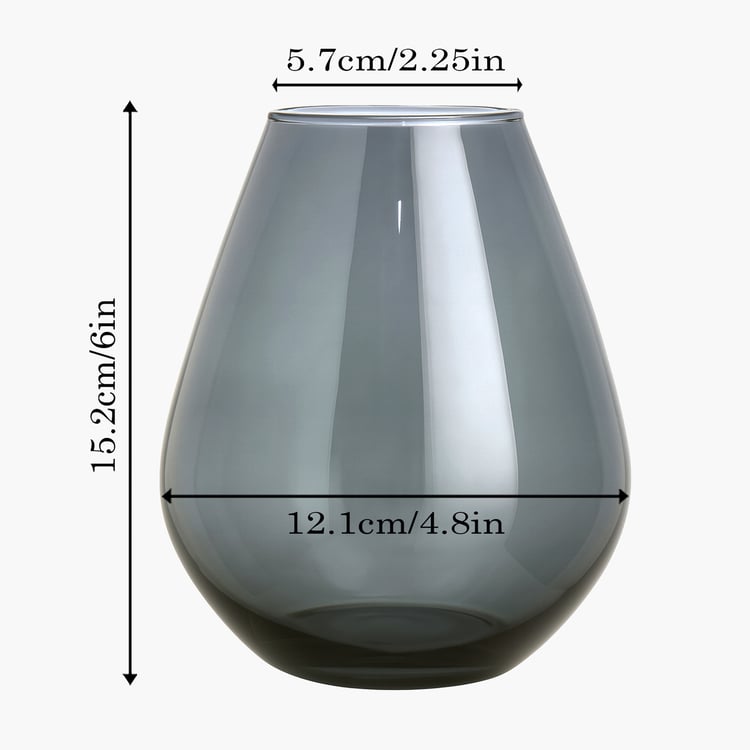 HOMESAKE Glass Vase