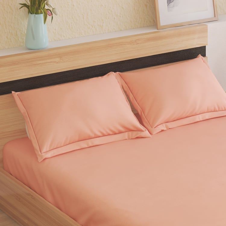 Nesta Cotton 180TC 3Pcs King Fitted Bedsheet Set