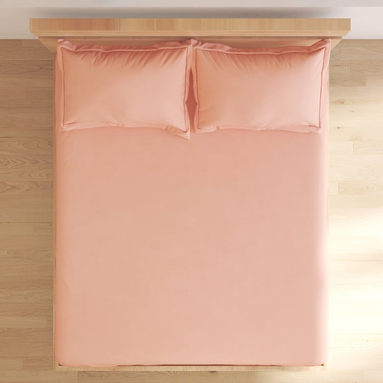 Nesta Cotton 180TC 3Pcs King Fitted Bedsheet Set