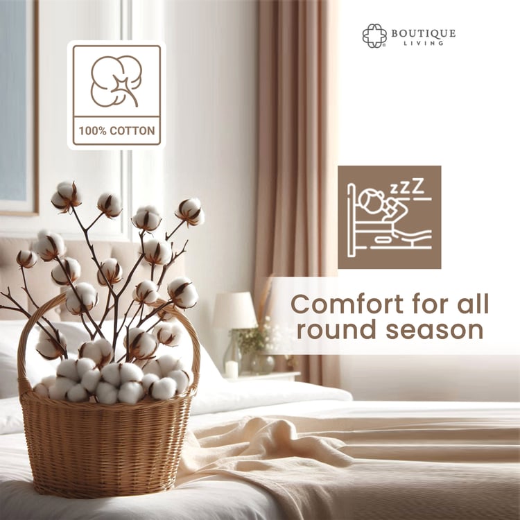 BOUTIQUE LIVING Kids Rock N Room Cotton Glow In the Dark Print Reversible Single Comforter