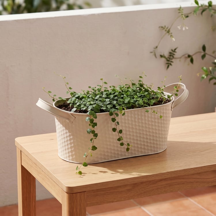 Nesta Garden Rustica Metal Debossed Planter with Handles