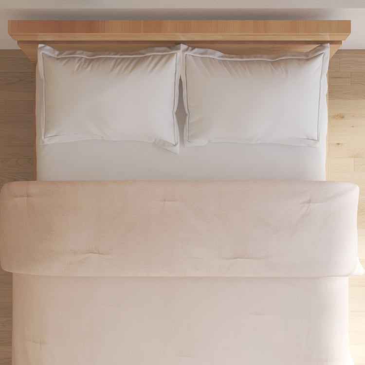 Tranquil Luxe Ethnic Cotton Jacquard Double Comforter
