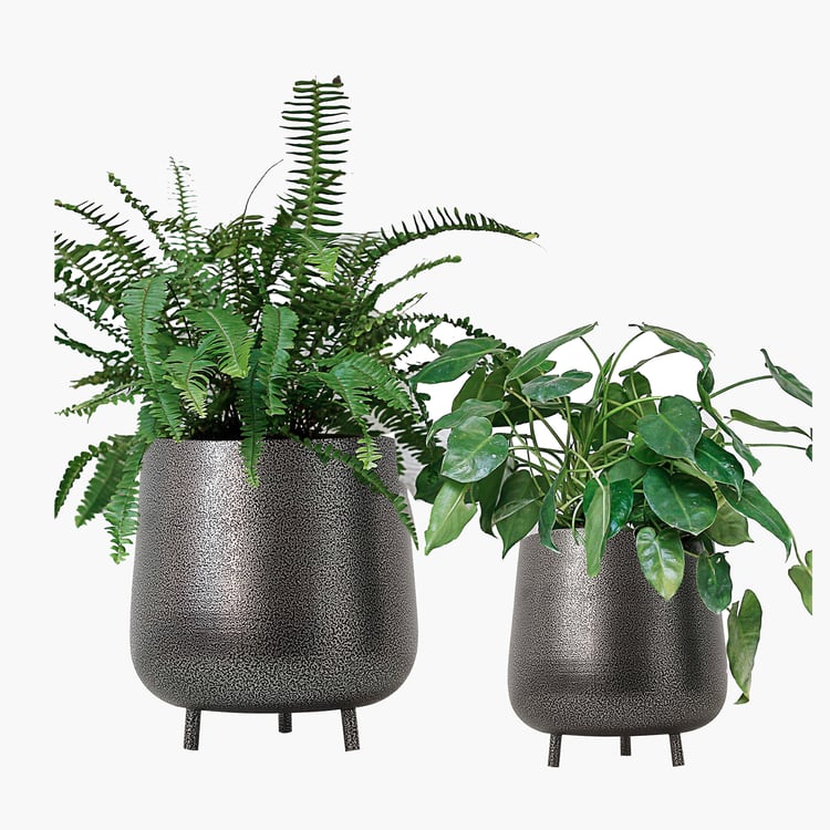 HOMESAKE Set of 2 Metal Planters