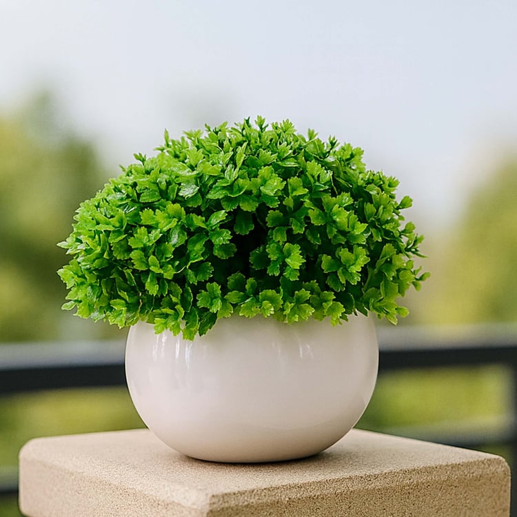 HOMESAKE Set of 4 Artificial Boxwood Plants - 12.7cm
