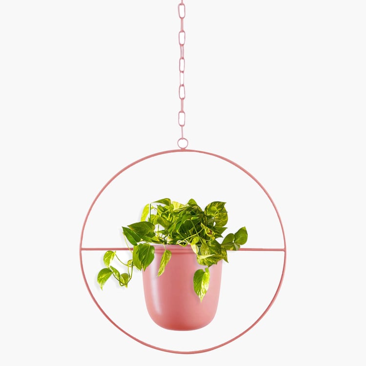HOMESAKE Metal Hanging Planter