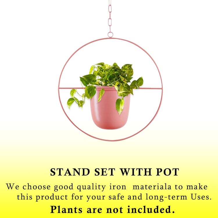 HOMESAKE Metal Hanging Planter