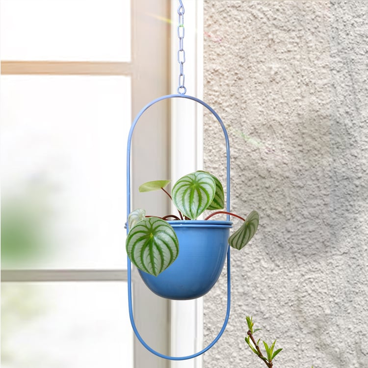 HOMESAKE Metal Hanging Planter