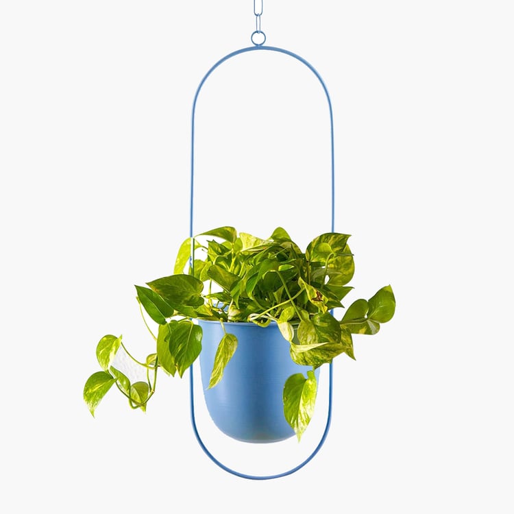 HOMESAKE Metal Hanging Planter