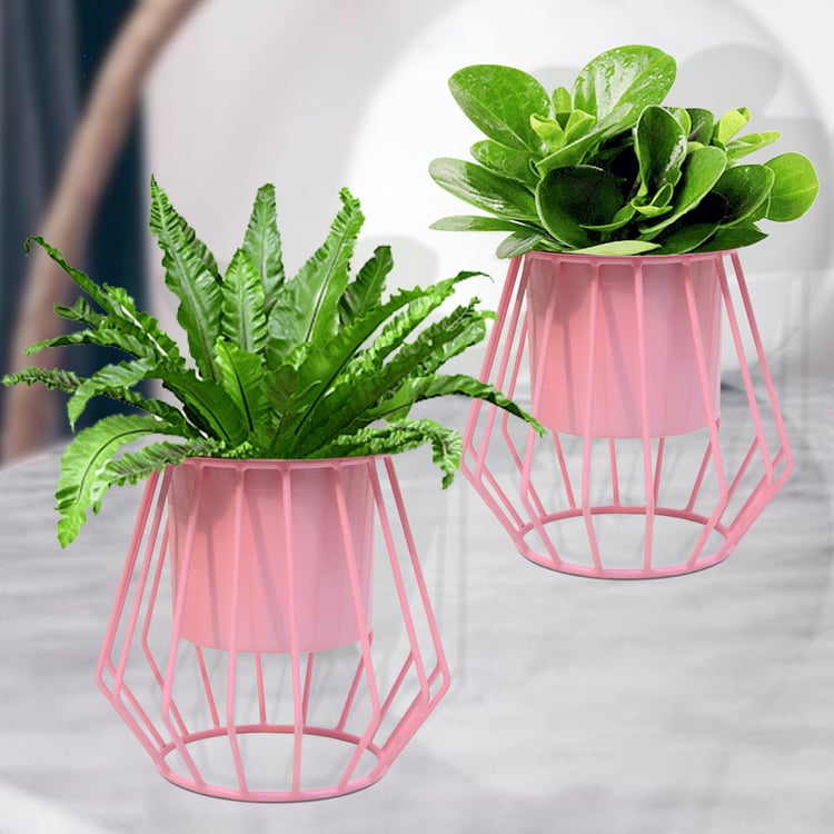 HOMESAKE Set of 2 Metal Planters