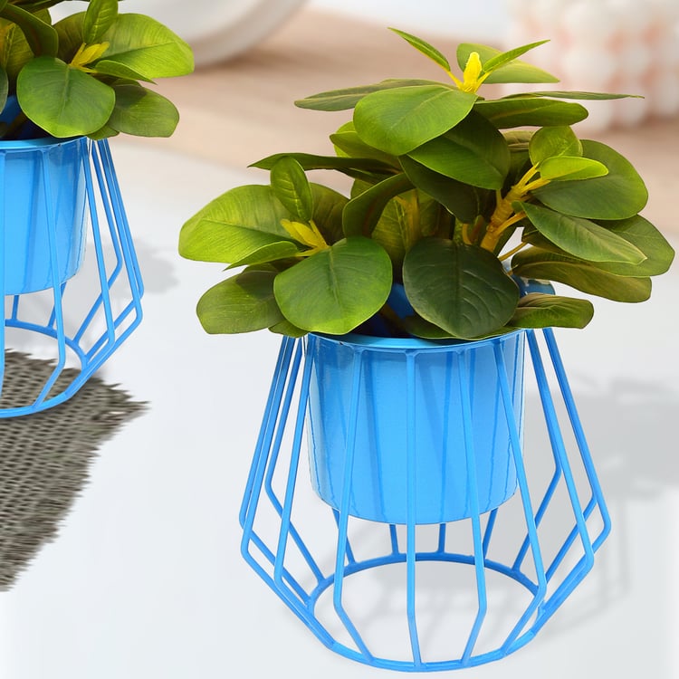 HOMESAKE Set of 2 Metal Planters