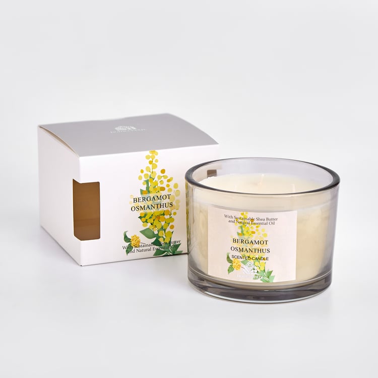 Utopia Refresh Bouquet Bergamot Osmanthus Scented Jar Candle