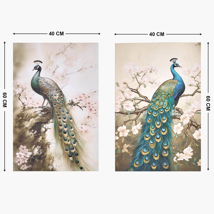 Brezza Set of 2 Canvas Peacock Picture Frames - 40x60cm